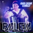 BALEIA OFICIAL