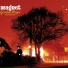 Magnet feat. Gemma Hayes