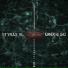 Styrax B.