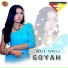 Denik Armila