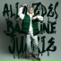 Alim Zdes, Bassline Junkie