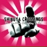 Shibuya Crossings
