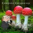 Катерина Качуровська