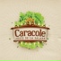 Caracole