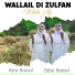 Azra Batool feat. Zeba Batool