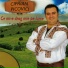 Ciprian Picovici