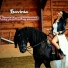 Lavinia