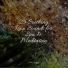 Lluvia, Natural Sounds, Wave Sound Group