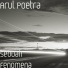 Arul Poetra