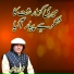 Faiz Ali Faiz