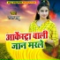 Raja Babu