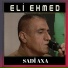 Elî Ehmed