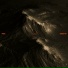 Hyden