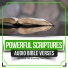 Peaceful Scriptures