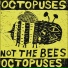 Octopuses