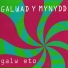 Galwad y Mynydd