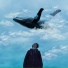 martindream