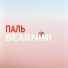 bearnini