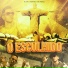 mc andi zl, mc wk o terrivel