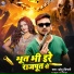 Chhotu Chingari