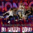 El Hongo Rock And Roll