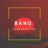 Banu Febriansyah