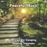 Deep Sleep, Relaxing Spa Music, Yoga