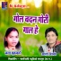 Aagar Anand, Lata Ghritlahare