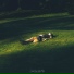 LazyLofi Boy
