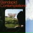 Biandapid feat. Phse Shft