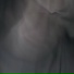 janetusim