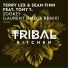 Terry Lex, Sean Finn feat. Tony T.