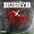 Bushy B