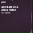 Akillah Dj & Andy Wolf