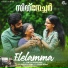 Vrinda Menon, Sumesh Parameswar