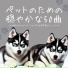 犬専用