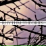 Rhythm Assembler