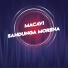 Macavi