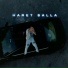 Haret