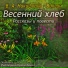 Юлич
