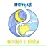 DRProject