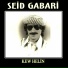 Seid Gabari