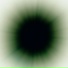 Cerasium