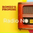 Romeo's Promise