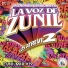 Marimba Orquesta La Voz de Zunil