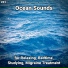 Ocean Currents, Nature Sounds, Ocean Sounds