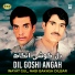 Inayat Gul, Nabi Bakhsh Dilbar