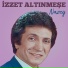 İzzet Altınmeşe