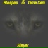 Blasjies feat. Tema Dark