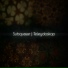 Subquasar